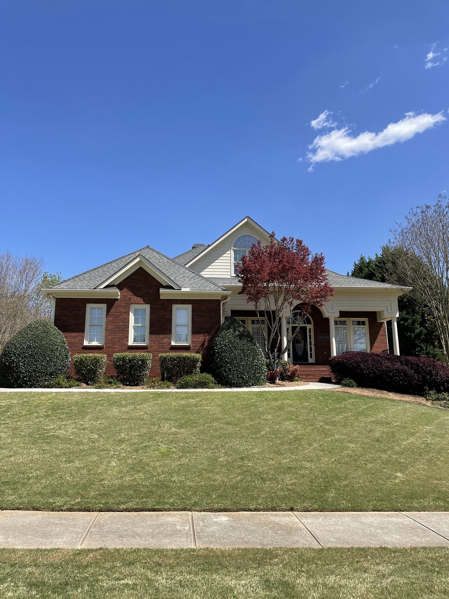 Bold Spring Roof TLC